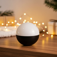 Video Ball™The Magical Memory Crystal Sphere